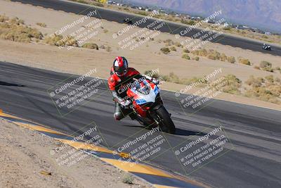 media/Nov-11-2023-SoCal Trackdays (Sat) [[efd63766ff]]/Turn 12 Inside (940am)/